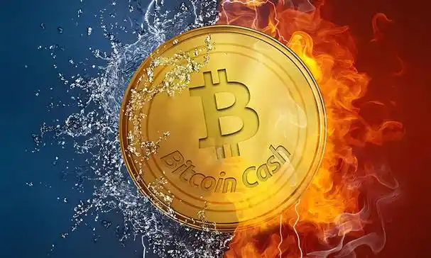 btc加密货币怎么交易和操作 新手小白必看! - php中文网